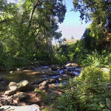 Brevisbrook B&B Pietermaritzburg Exteriör bild