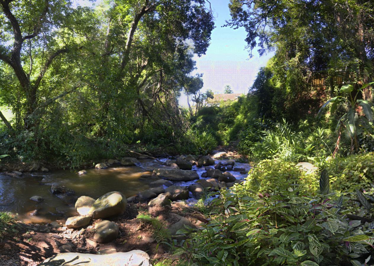 Brevisbrook B&B Pietermaritzburg Exteriör bild